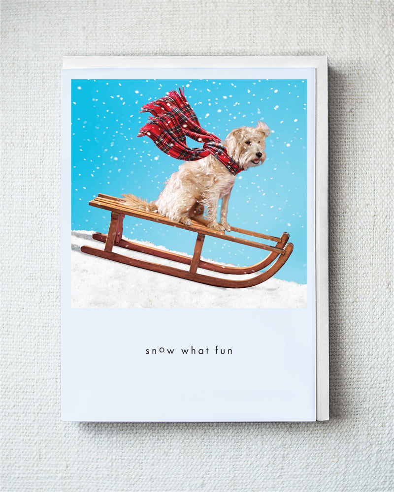 Murphy On Sled Greeting Card - Holiday 10 Pack