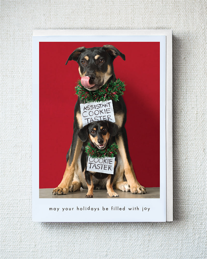 Kona And Miles Greeting Card - Holiday 10 Pack