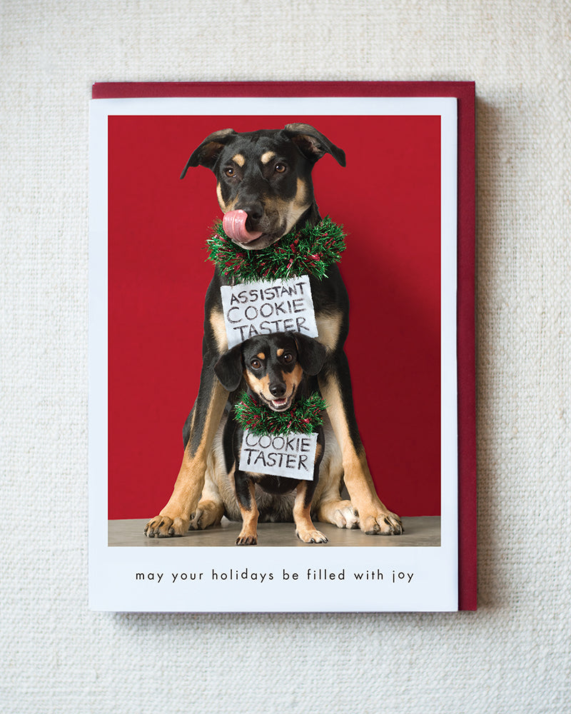 Kona And Miles Greeting Card - Holiday 10 Pack