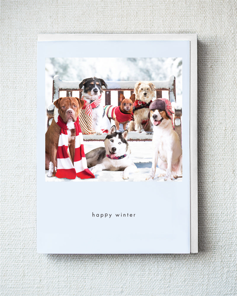 Pi, Ozzy, Ice, Rudy, Murphy...Greeting Card - Holiday 10 Pack