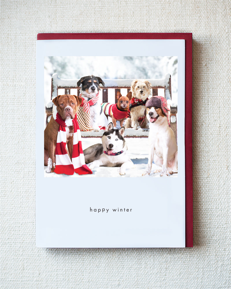 Pi, Ozzy, Ice, Rudy, Murphy...Greeting Card - Holiday 10 Pack