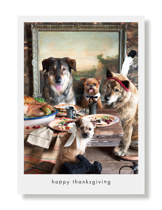 Magnum, Ginger, Ricco and Bria, Thanksgiving Greeting Card
