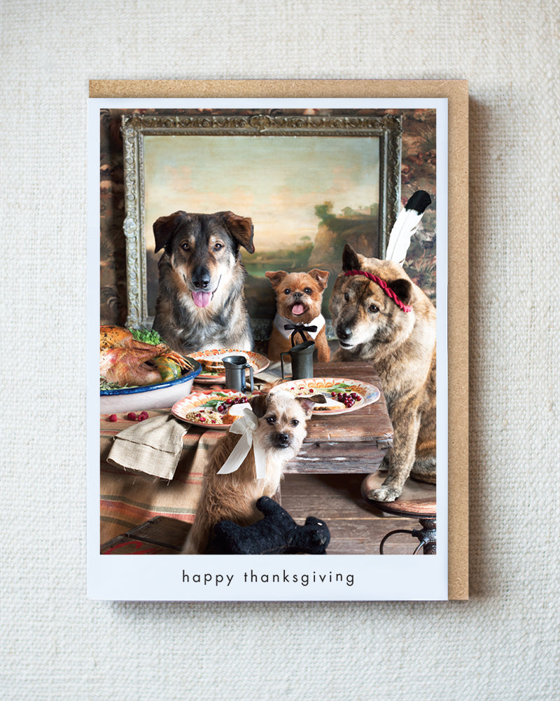 Magnum, Ginger, Ricco and Bria, Thanksgiving Greeting Card - Holiday 10 Pack