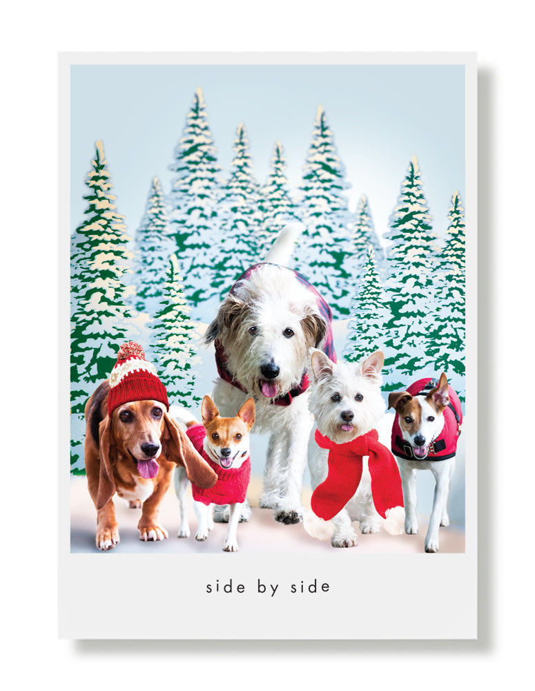 Maggie, Foxy, Beauty, Audrey and Woody Greeting Card