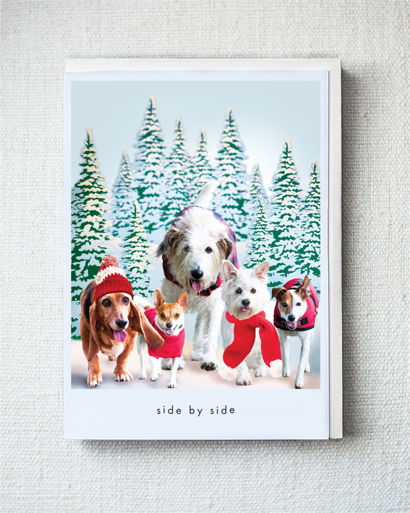 Maggie, Foxy, Beauty...Greeting Card - Holiday 10 Pack