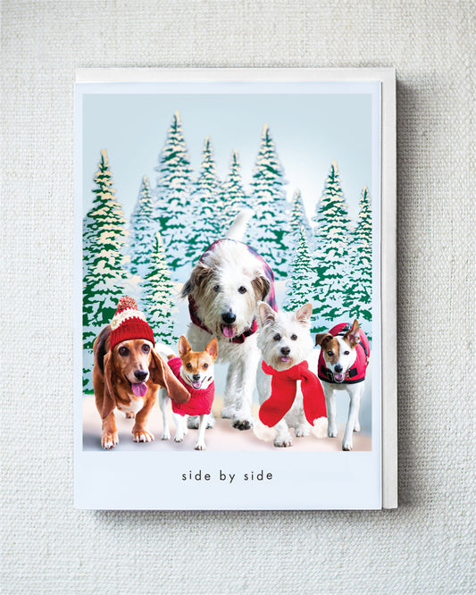 Maggie, Foxy, Beauty, Audrey...Greeting Card - Holiday 10 Pack