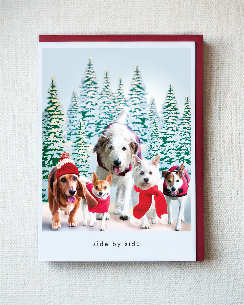 Maggie, Foxy, Beauty...Greeting Card - Holiday 10 Pack