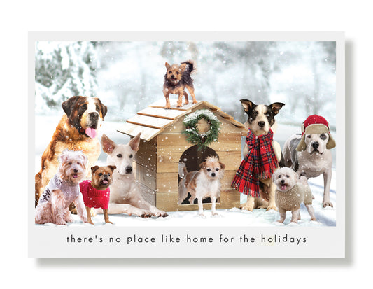 Emerson, Murphy, Ginger Greeting Card
