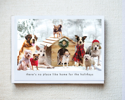 Emerson, Murphy, Ginger Greeting Card - Holiday 10 Pack