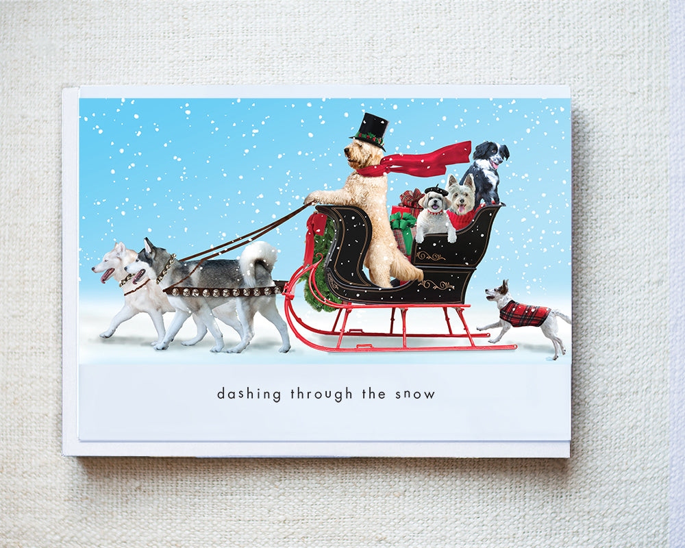 Inouk, Ghost, Sultan, Chloe, Teddy, Opie...Greeting Card - Holiday 10 Pack