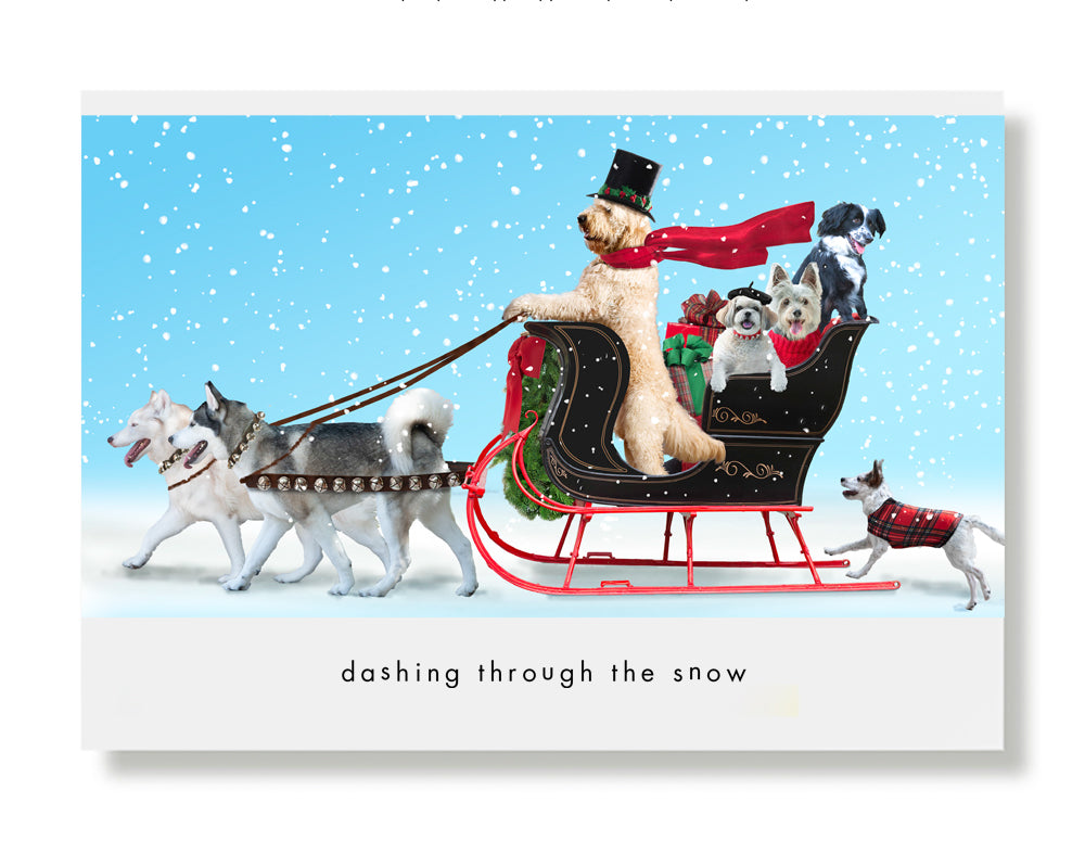 Inouk, Ghost, Sultan, Chloe, Teddy, Opie and Sydney Roo Holiday Greeting Card