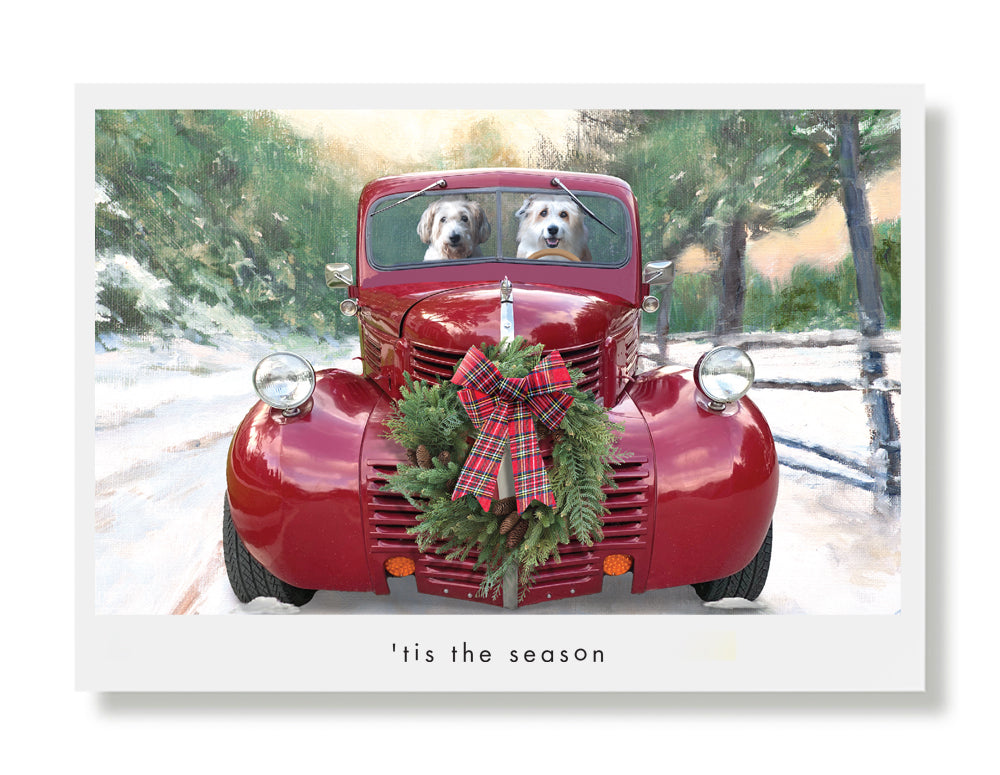 Beauty and Willis Holiday Greeting Card