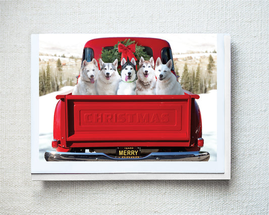 Ice, Ivy, Ghost, Roxie & Inouk Greeting Card - Holiday 10 Pack