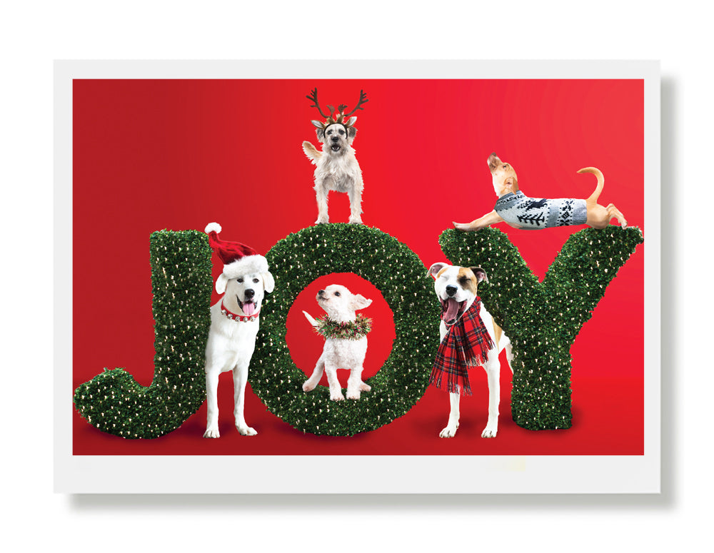 Lance, Fizz, Frazier, Tucker and Princess Holiday Greeting Card