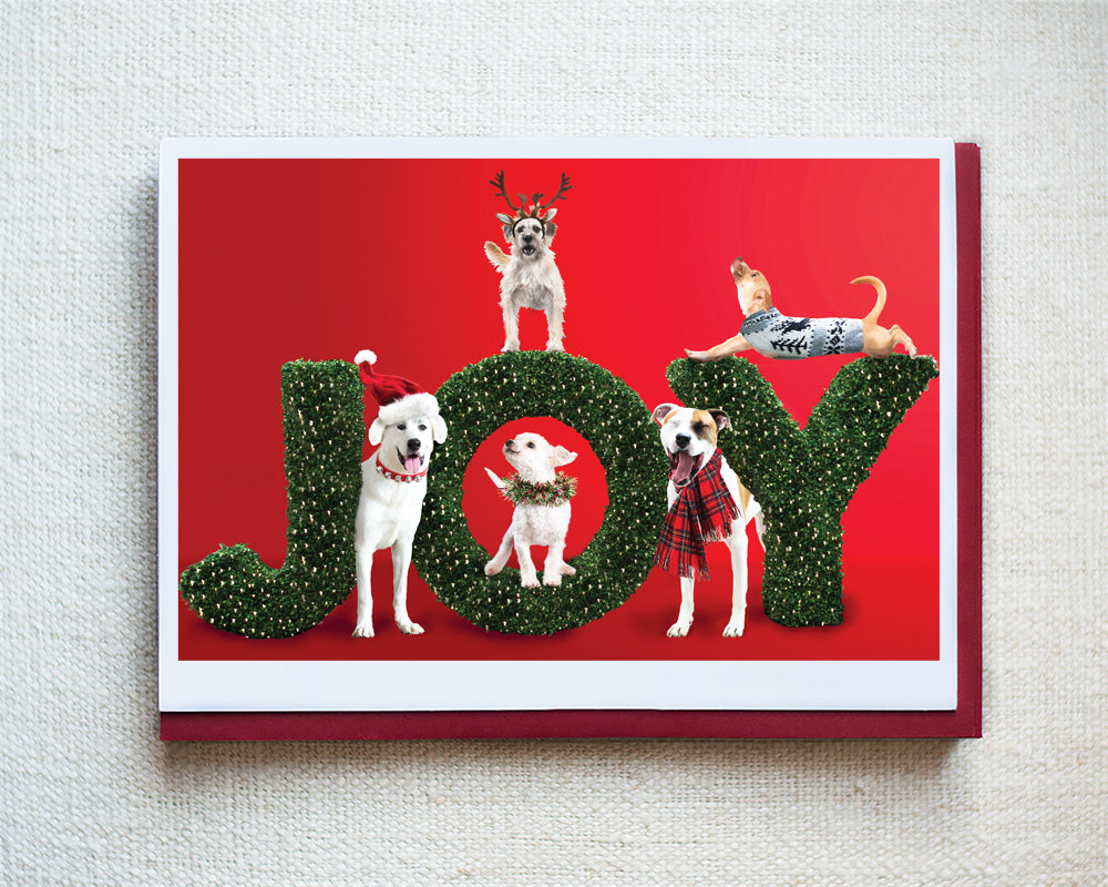 Lance, Fizz, Frazier, Tucker and Princess Greeting Card - Holiday 10 Pack