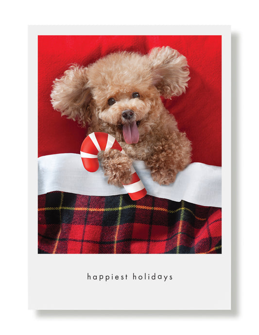 Bonzie Holiday Greeting Card