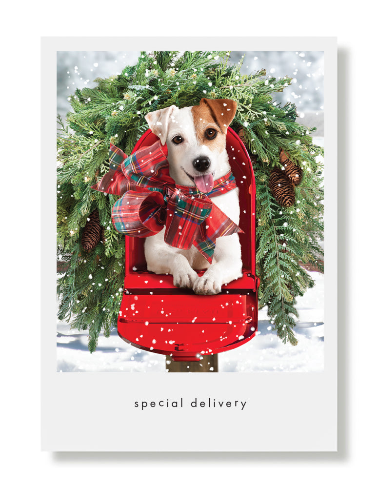 Rosie Holiday Greeting Card