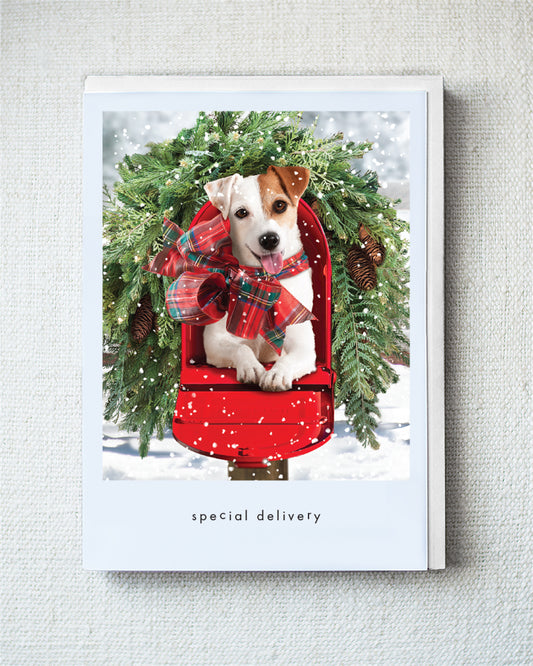 Rosie Holiday Greeting Card - Holiday 10 Pack