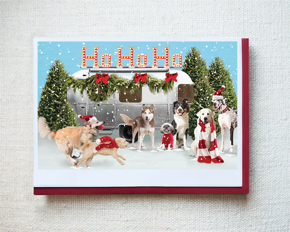 Sally, Murphy, Louise, Linus, Benson, Sunshine and Momo Greeting Card - Holiday 10 Pack