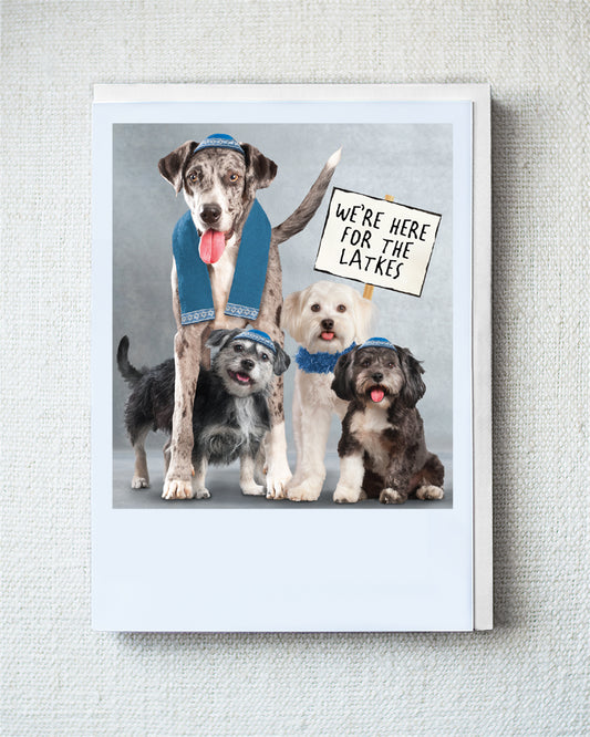 Theo, Charlie, Delilah and Dash Chanukah Greeting Card 10 Pack